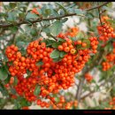 달빛2 태양광 이미지