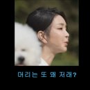 이해찬 "조국 파면은 무도한 짓…서울대 동창회서 날 빼라" 이미지