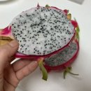 주식회사 수일