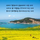 치유정원(治癒庭園)에서의 풍류(風流) -, 청산도(靑山島)! 이미지