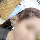 대성손상모 | [강남 미용실 추천] 손상모 안심 염색 맛집 <무이 MUI 대치본점>
