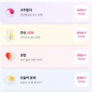 토끼 | 온라인 정통사주 990원 사주토끼 후기