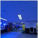 용인대수석태권도 이미지