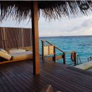 우당탕탕 사고뭉치 이미지