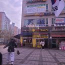 고려성민태권도장 이미지