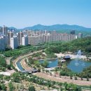 분당-397 이미지