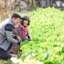 구라농장 이미지