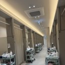 봄씨피부과의원 | 광주밴스의원)제오민보톡스&amp;리오투 행사가 시술 내돈내산후기