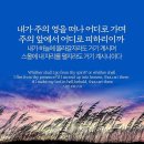 바다날개
