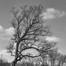 The Shawshank Redemption 이미지