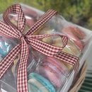 너에게 마카롱 운정점 이미지