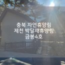 포레스트 12 자연휴양림 | 충북 제천 휴양림 - 박달재휴양림 금봉4호 숙박 후기 / 할인혜택, 리솜 해브나인 스파