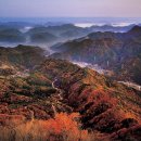 안성면 생활체육공원 이미지