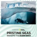 태초에는 이미지