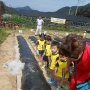 성빈농장 이미지