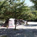 일영무두리캠핑장 이미지