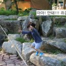 한스카라반 네이버블로그