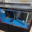 서문시장 아진상가 | 대구 서문시장 맛집 아진상가 성주식당 조방낙지 밥집 추천