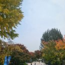 NR-24[노사로]-하-82 | 개강 10주차