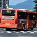 탄탄플란트치과의원 이미지