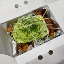 왕천파닭아름점 | 세종 파닭 맛집, 왕천파닭 보람점 (보람동 치킨 맛집)