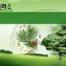 (주)피러스 이미지