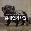 브로드웨이뮤지컬센터학원 이미지