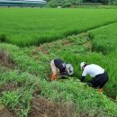 고추골솔바람마을 이미지