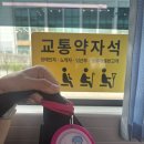 장안구보건소 | 수원시 장안구보건소 산전검사 &amp; 임산부등록