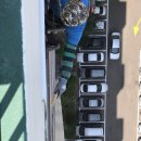 웰빙서울온누리약국 이미지