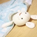 베이비캐슬어린이집 이미지