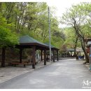 빼올약수터 티스토리