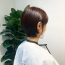 고운헤어스투디오 이미지