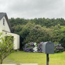 다정펜션 이미지