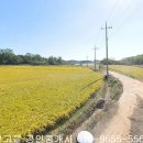 광산구-010 이미지