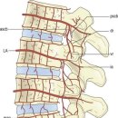 스마일한의원 이미지