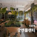 경기도 수원시 팔달구 고화로14번길 | 수원역 식물 카페 식물 파는 곳 굿앤플랜티