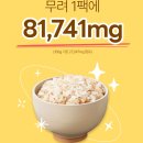 영지축산 | 박나래쌀 유기농 상황버섯쌀 고르는법 먹는법 크림리조또 버섯솥밥 하는법