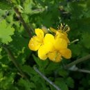 영덕싱싱농원 이미지