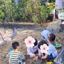 아이조아펜션 이미지