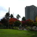 열린사랑방 이미지