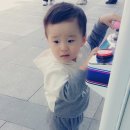 성재횟집