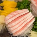 참치랜드 이미지