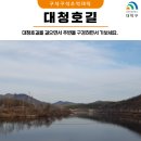 대청호길을 걸으면서 주변을 구경하면서 가보세요.