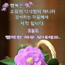 아름다운 꿈은 생명의 양식 이미지