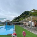 트리풀하우스 | 강아지와 함께하는 포천 감성 글램핑, 트리풀하우스 후기