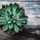 숨쉬는공간 이미지