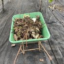 송아리농장 이미지