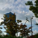 금강철새조망대 이미지