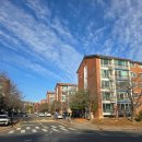 연수동 그린빌라앞 | 포항탄성코트업체 LG그린빌라 시공후기